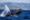 Où voir les baleines en Afrique du Sud ?