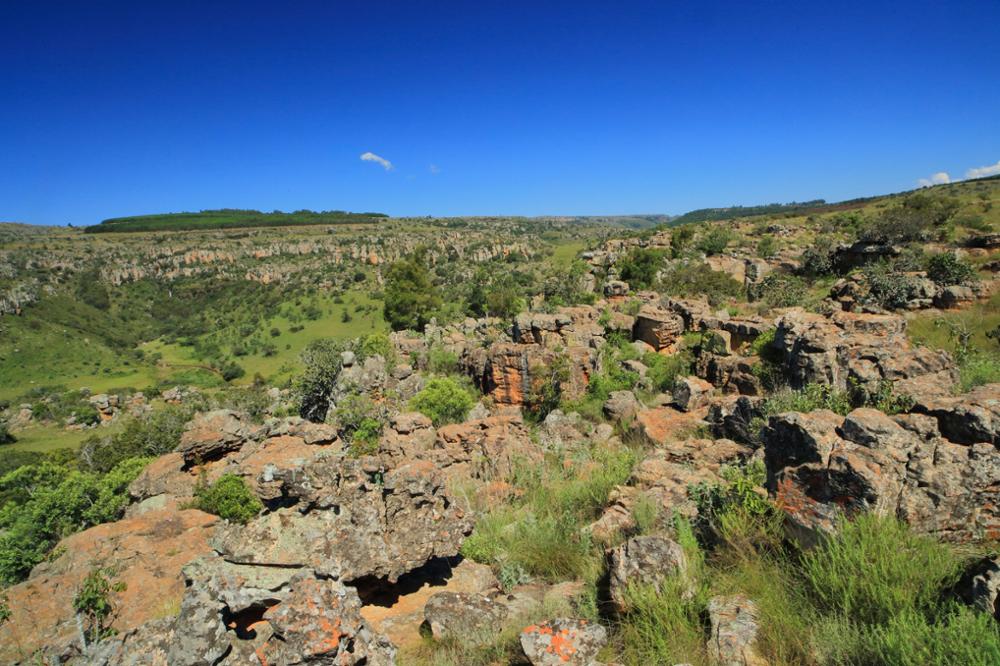 Comment visiter le Blyde River Canyon ?