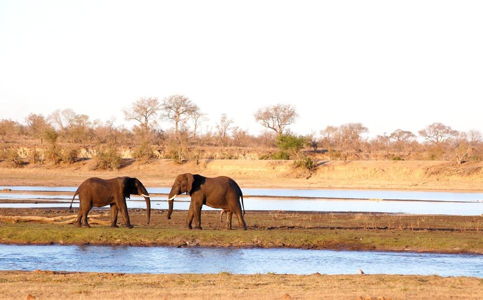 Les plus belles réserves privées près du parc Kruger en Afrique du Sud